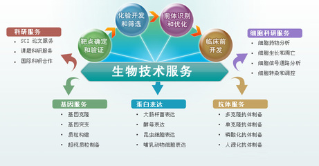 技術研發(fā)服務與技術推廣 創(chuàng)新價值鏈的雙驅(qū)動