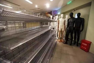 百年零售品牌全線關店 透視中國二手日用百貨銷售的崛起與變革